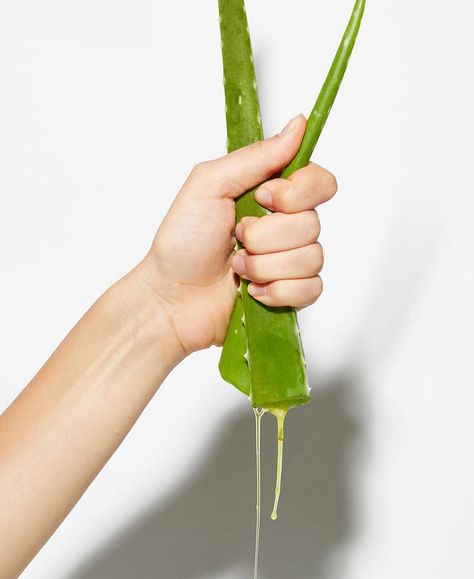3 Easy DIY Aloe Vera Recipes