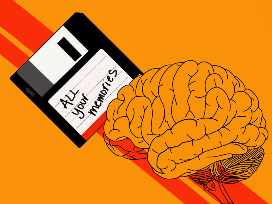 11 Ways To Keep Your Memories From Erasing