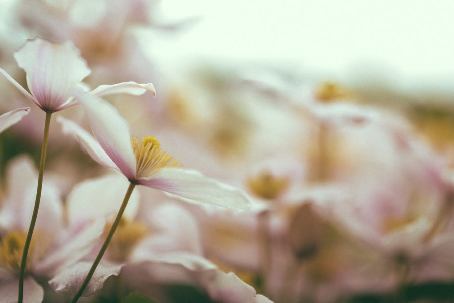 3 Easy Breathwork Techniques to Reduce Stress and Improve Focus