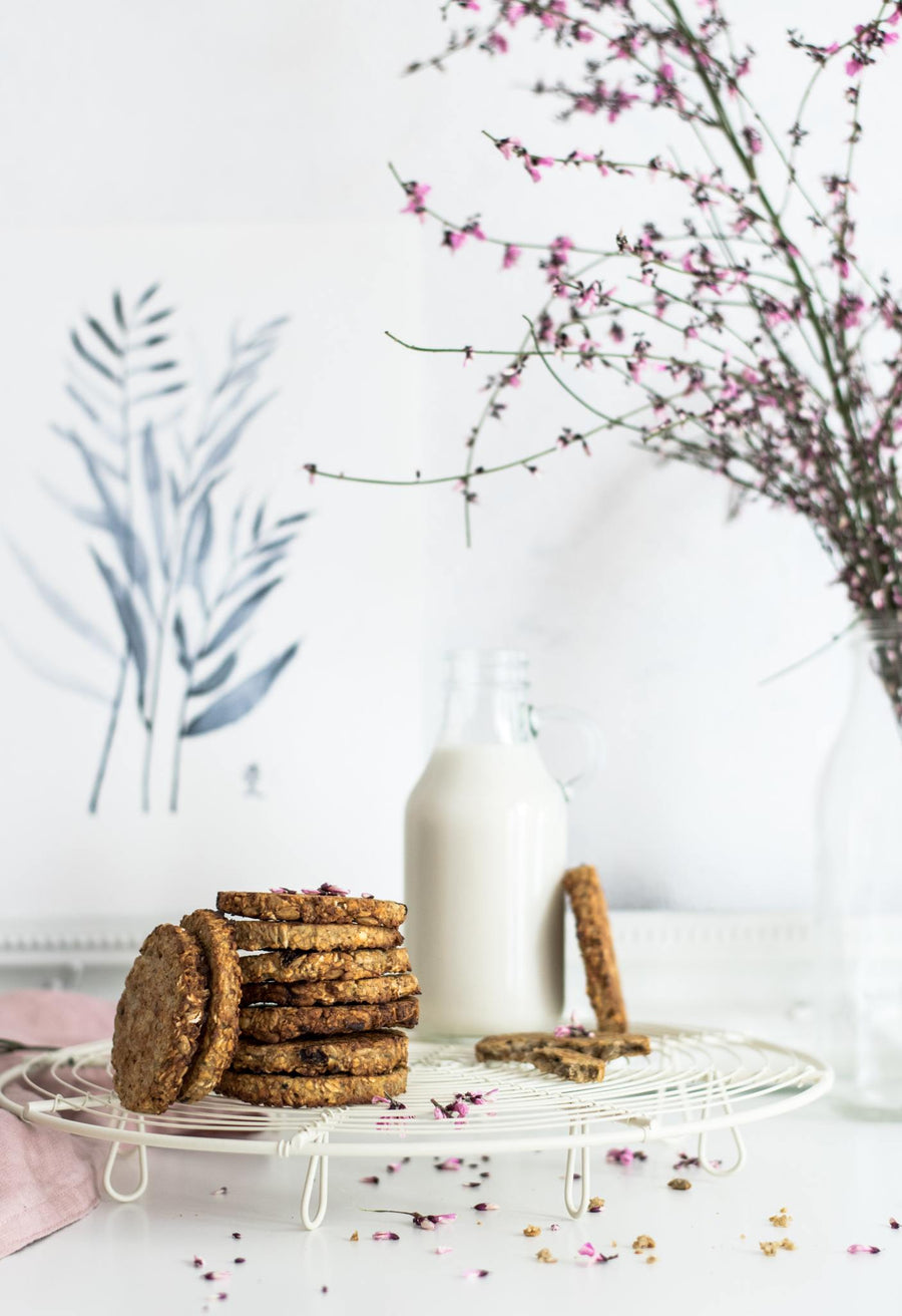 Sugar-Free Banana Chocolate Chip Cookies ๐ชโ