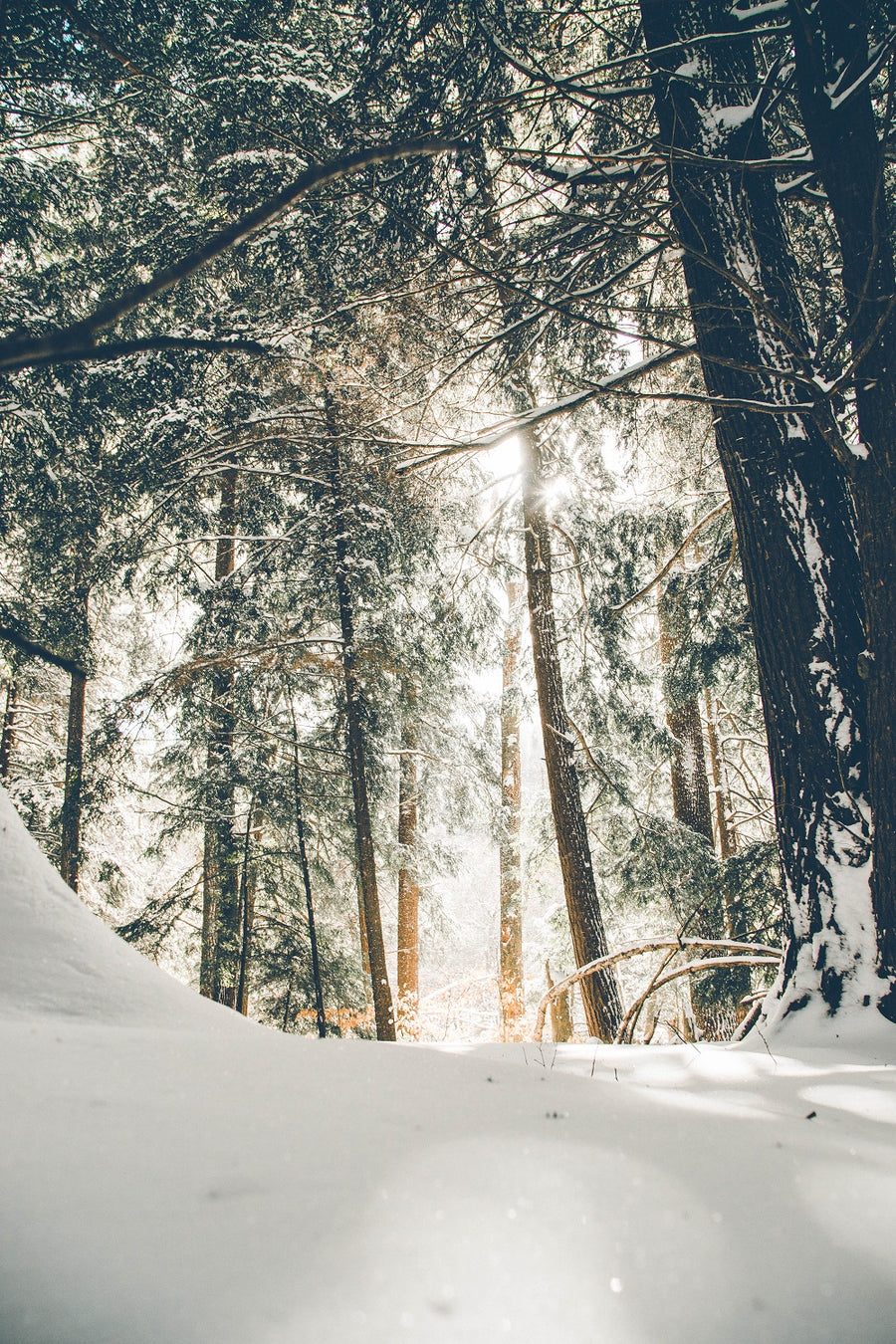 4 Research-Backed Ways to Combat Seasonal Affective Disorder