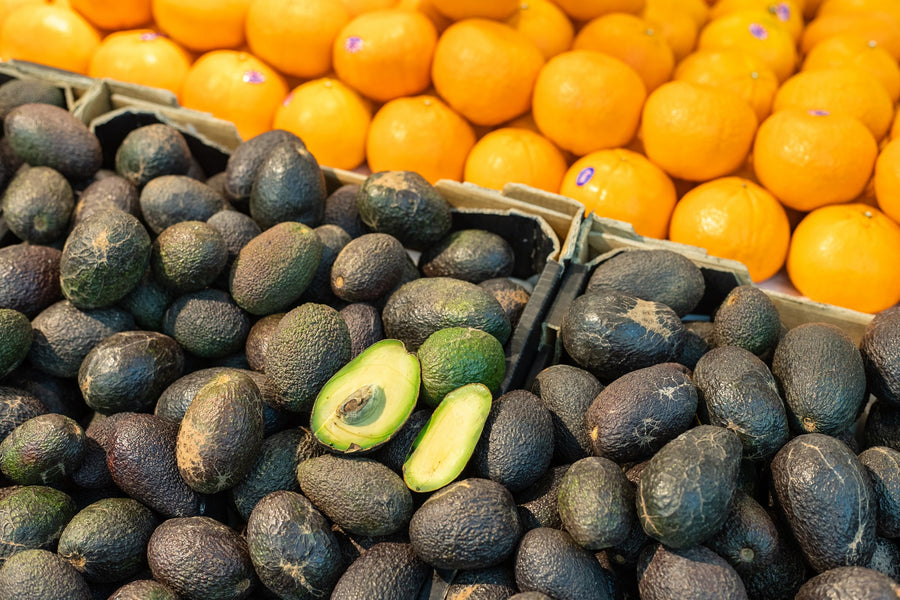 Winter Citrus and Avocado Salad