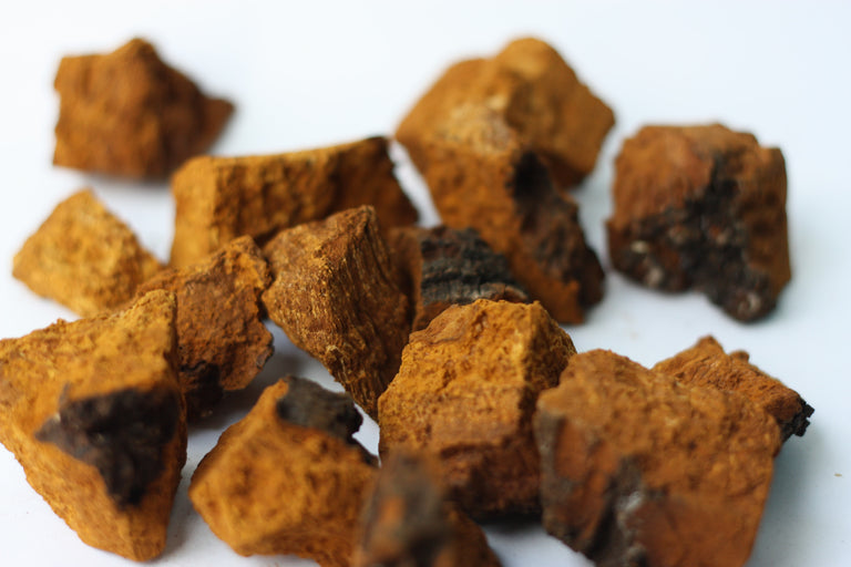 TUSOL Ingredients - Chaga Benefits