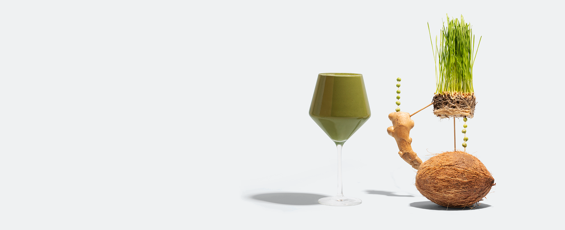 TUSOL Smoothies - Designed with Sustainable, research-backed ingredients for rapid results