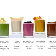 Plant Protein + Superfood Smoothie Mix (10 Pack)