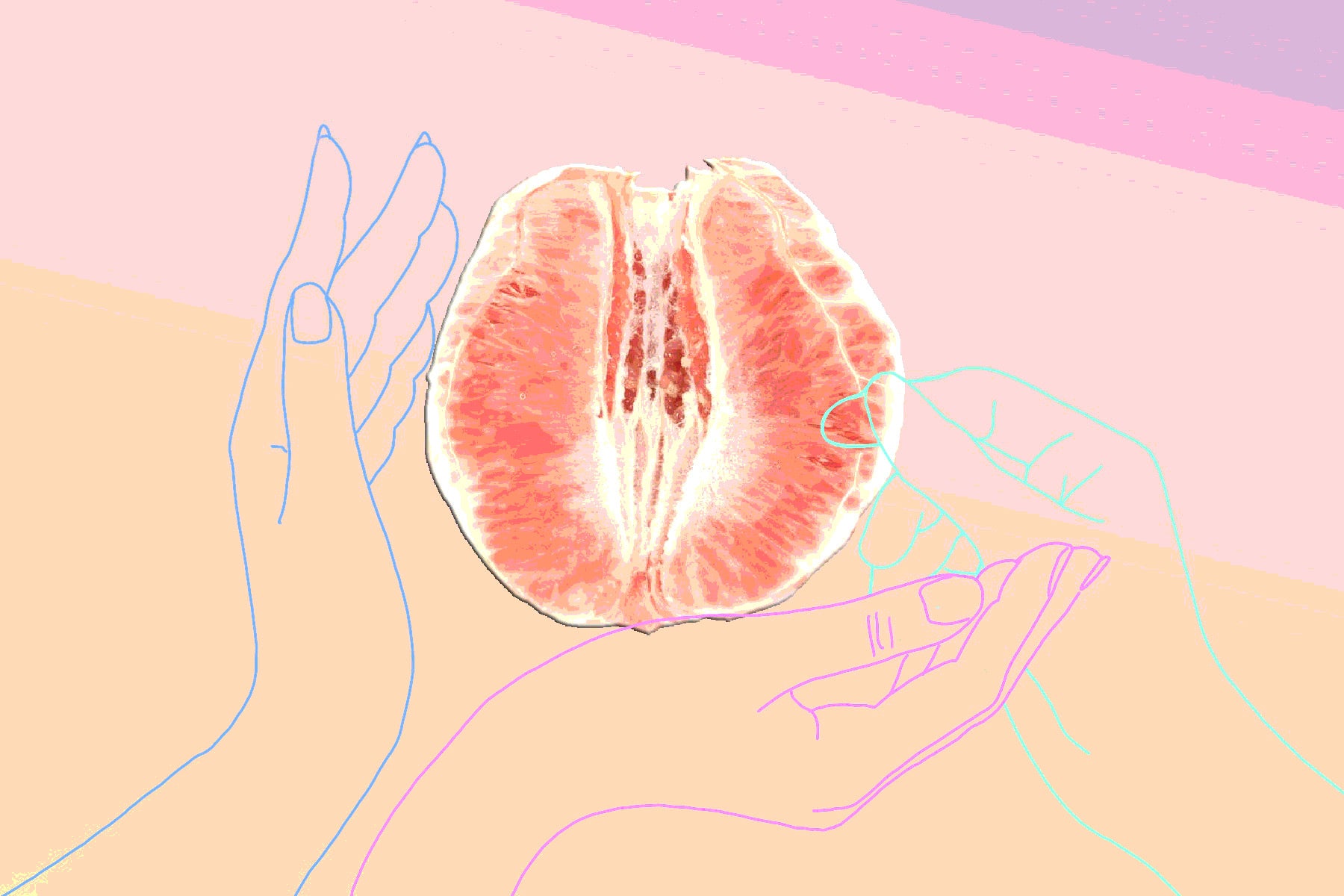 The Vaginome: What You Didn't Know