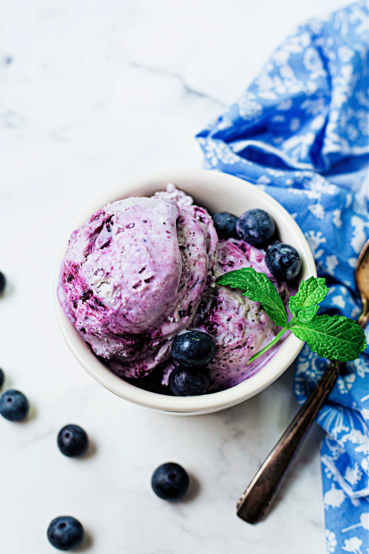 Plant-based Blueberry Ice Cream