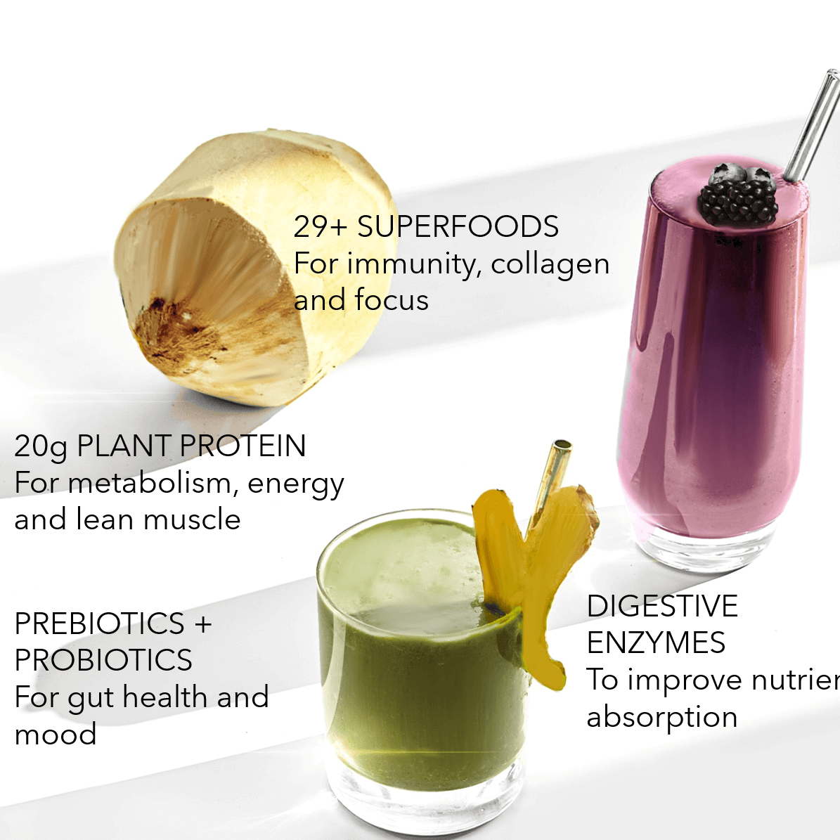 Organic Plant Protein + Superfood Smoothie Mix (S)