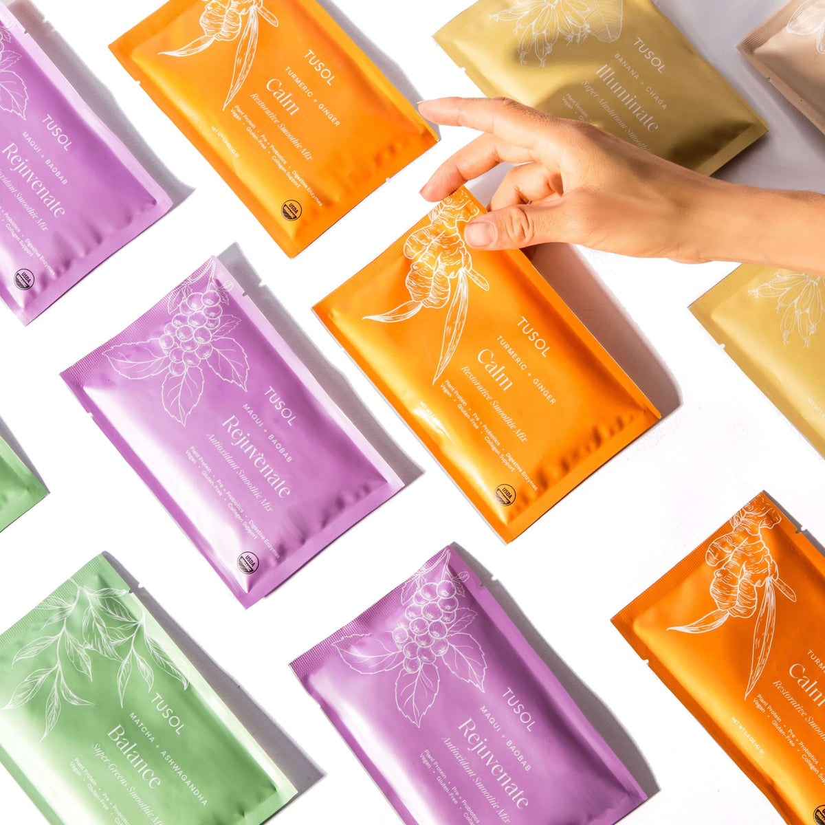 Organic Plant Protein + Superfood Smoothie Mix (30 Pack)