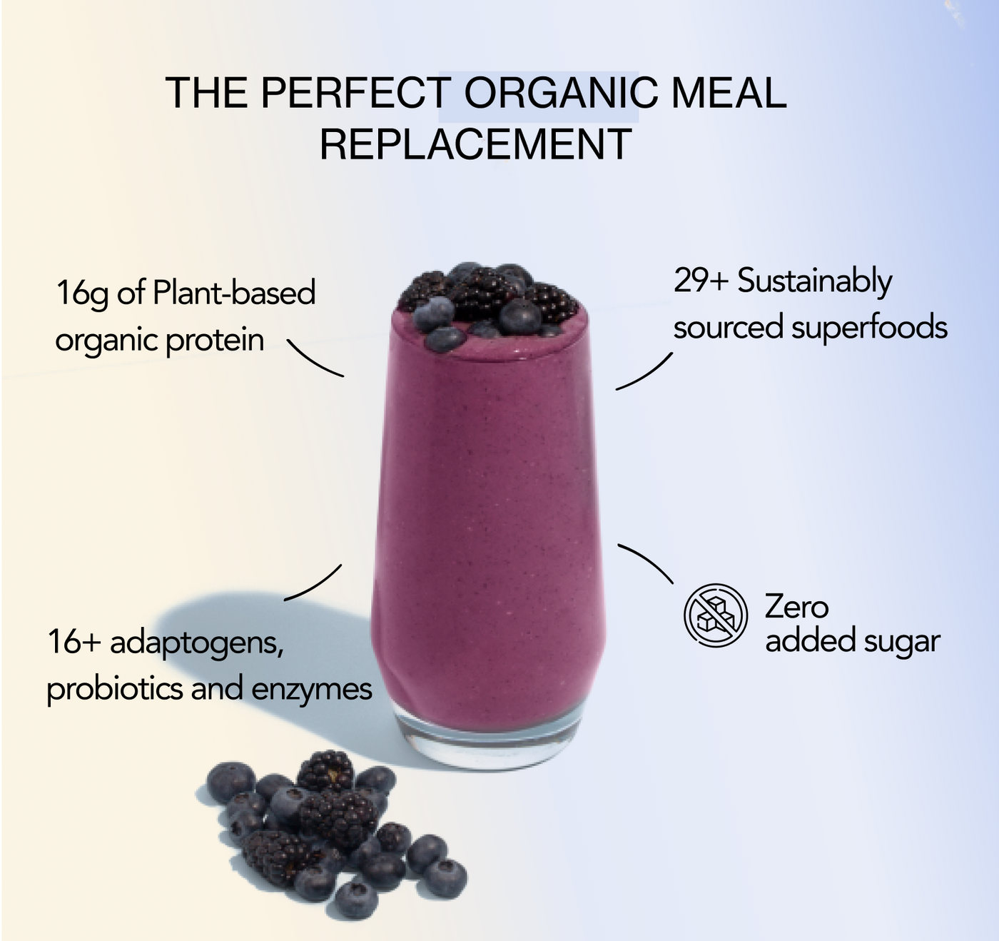 Organic Plant Protein + Superfood Smoothie Mix