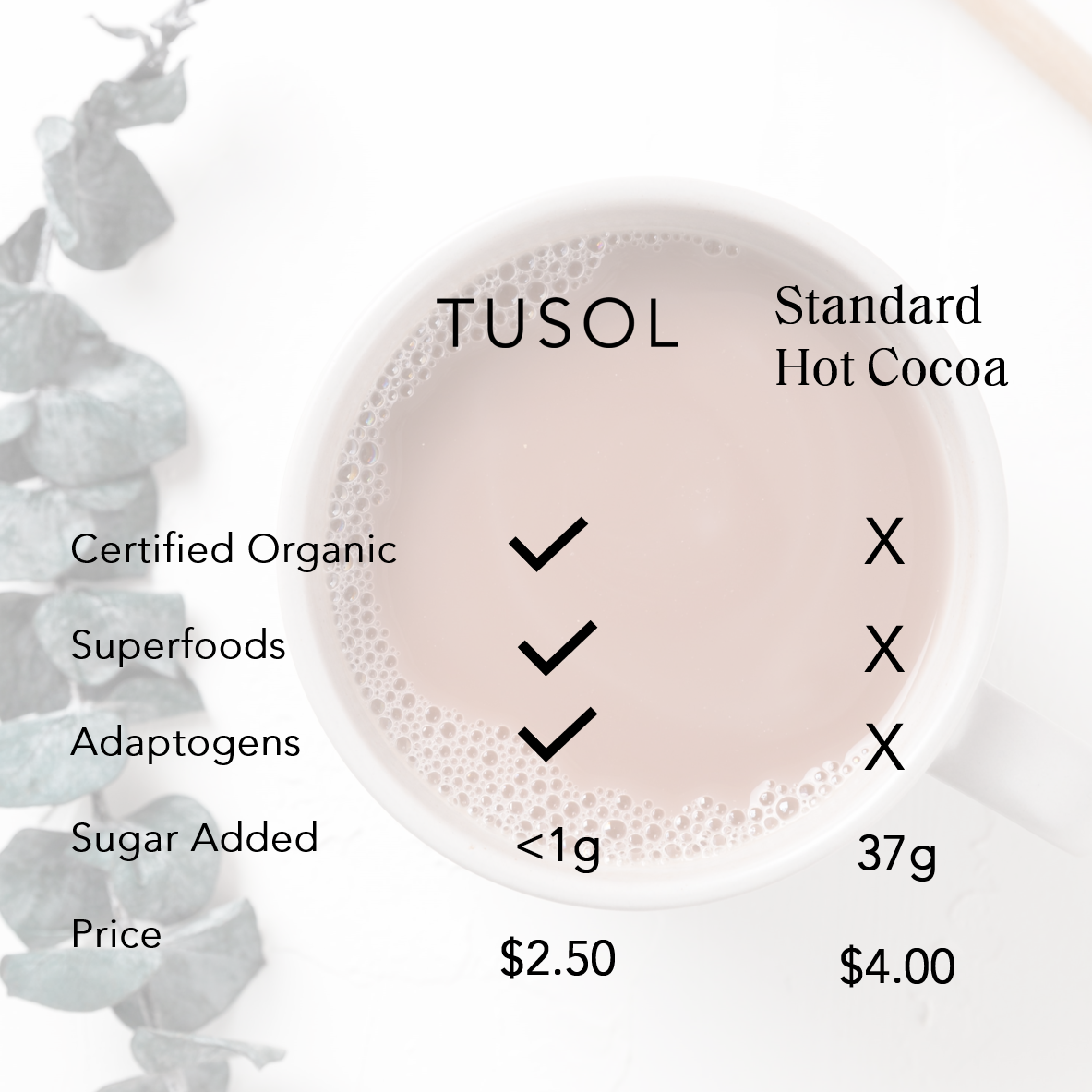 TUSOL Organic Latte Kit